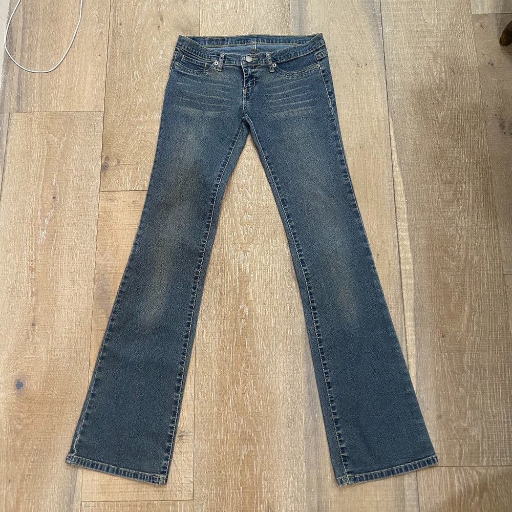 Earth Division jeans